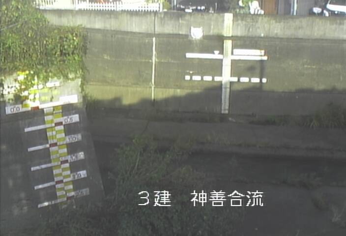 静止画