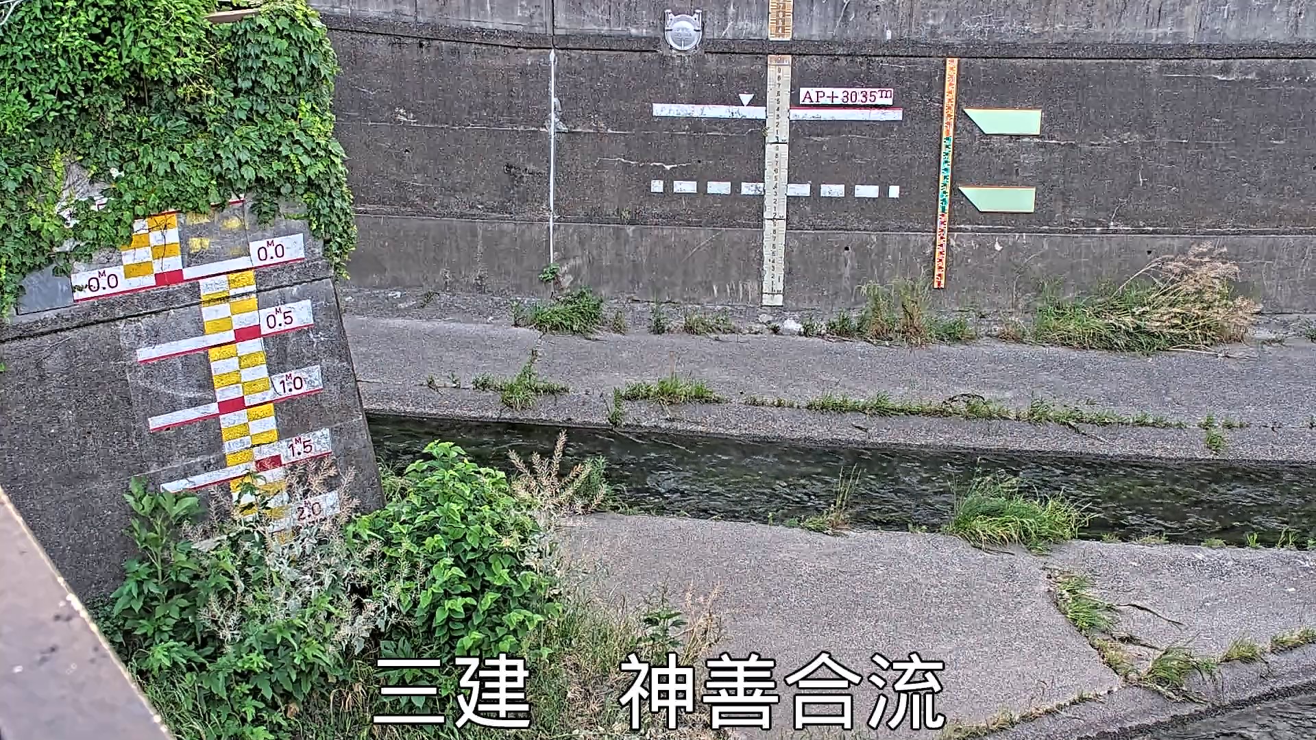 静止画