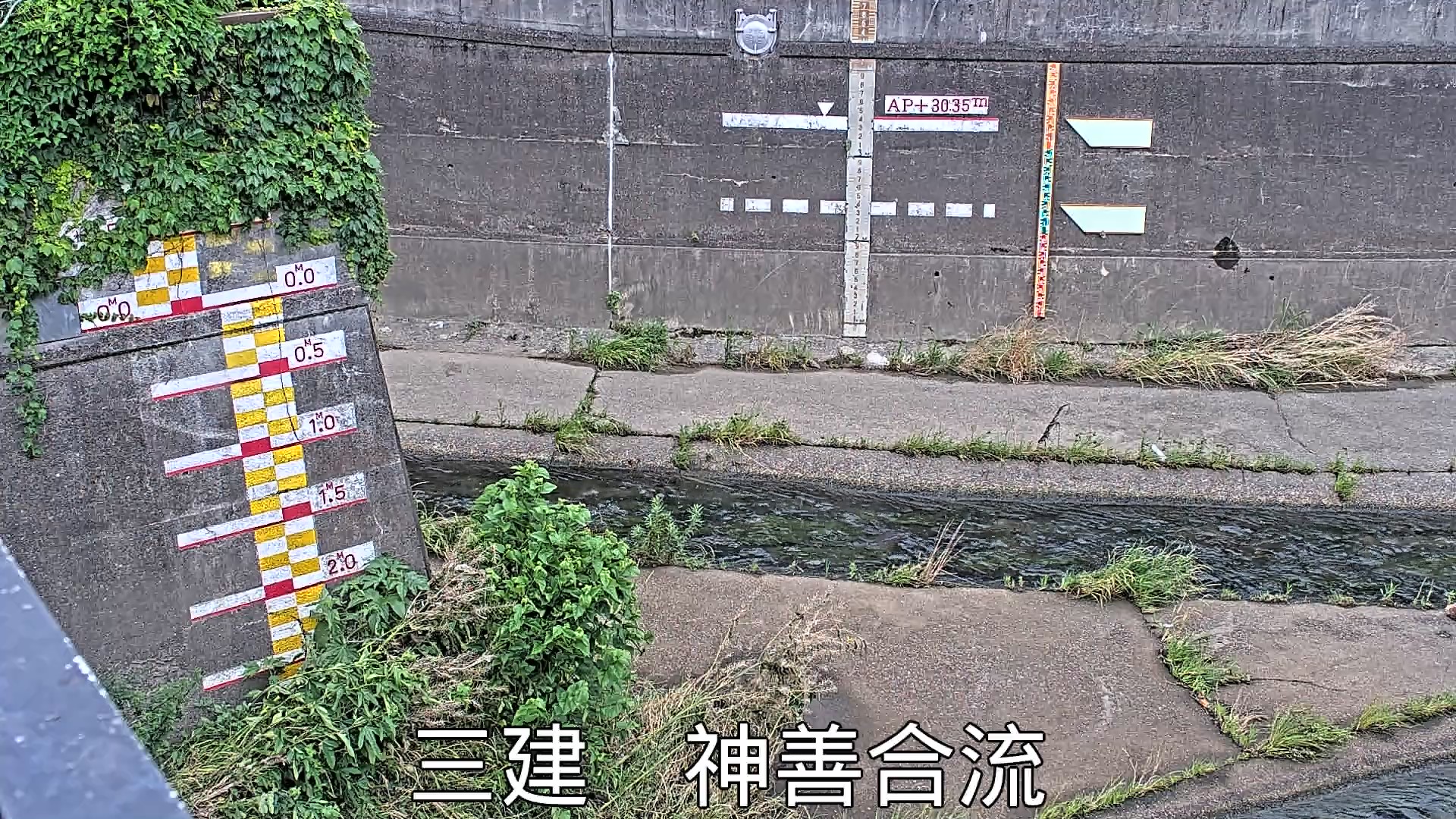 静止画