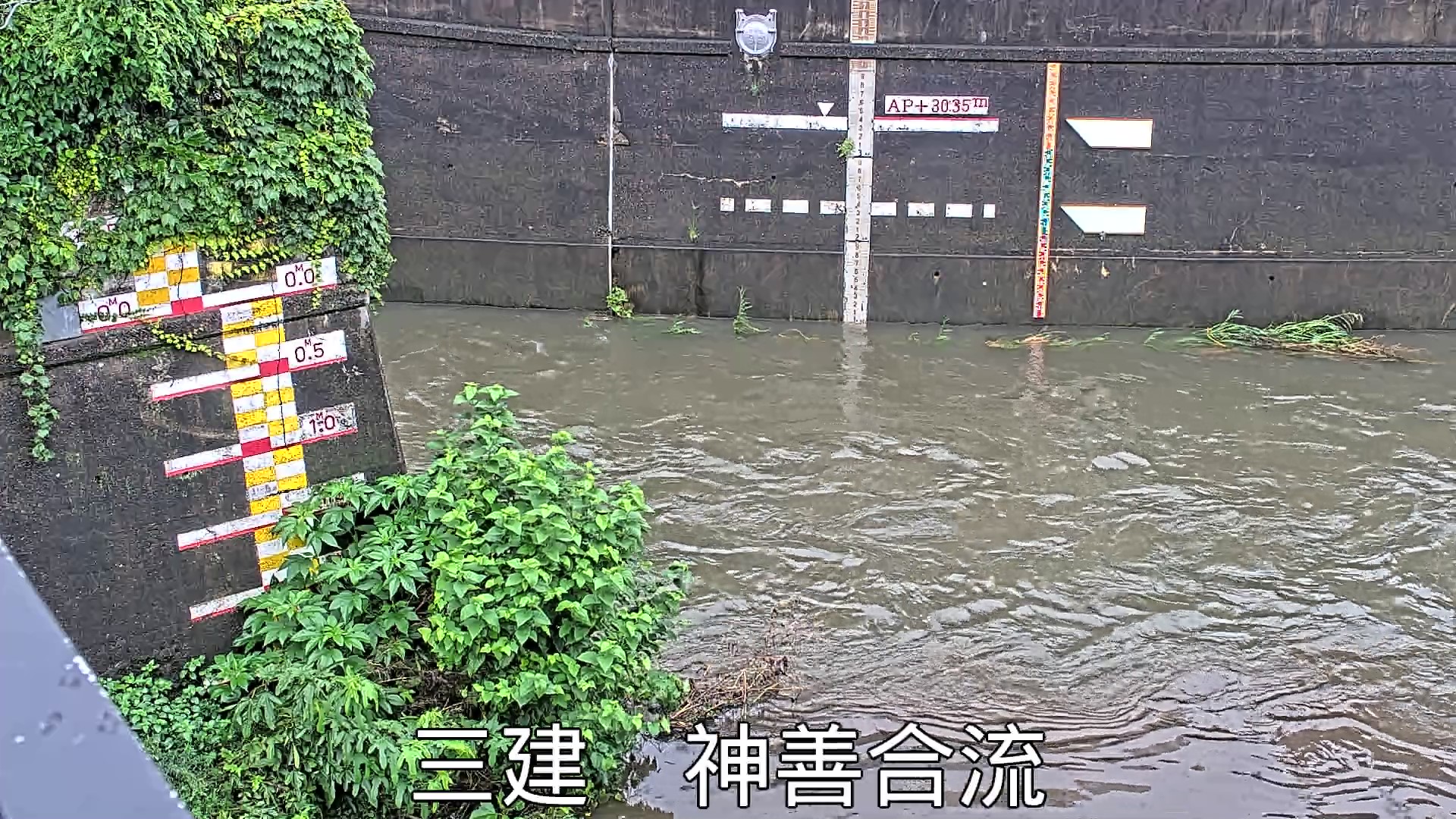 静止画
