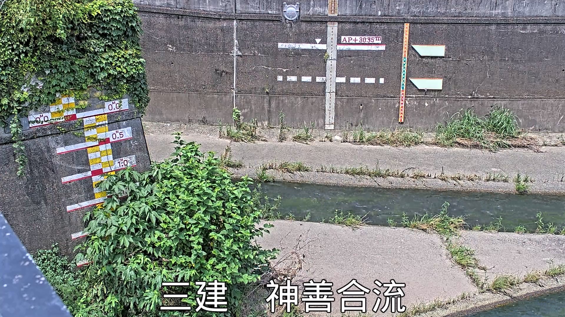 静止画