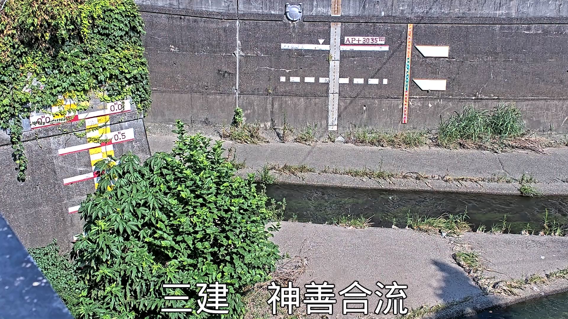 静止画