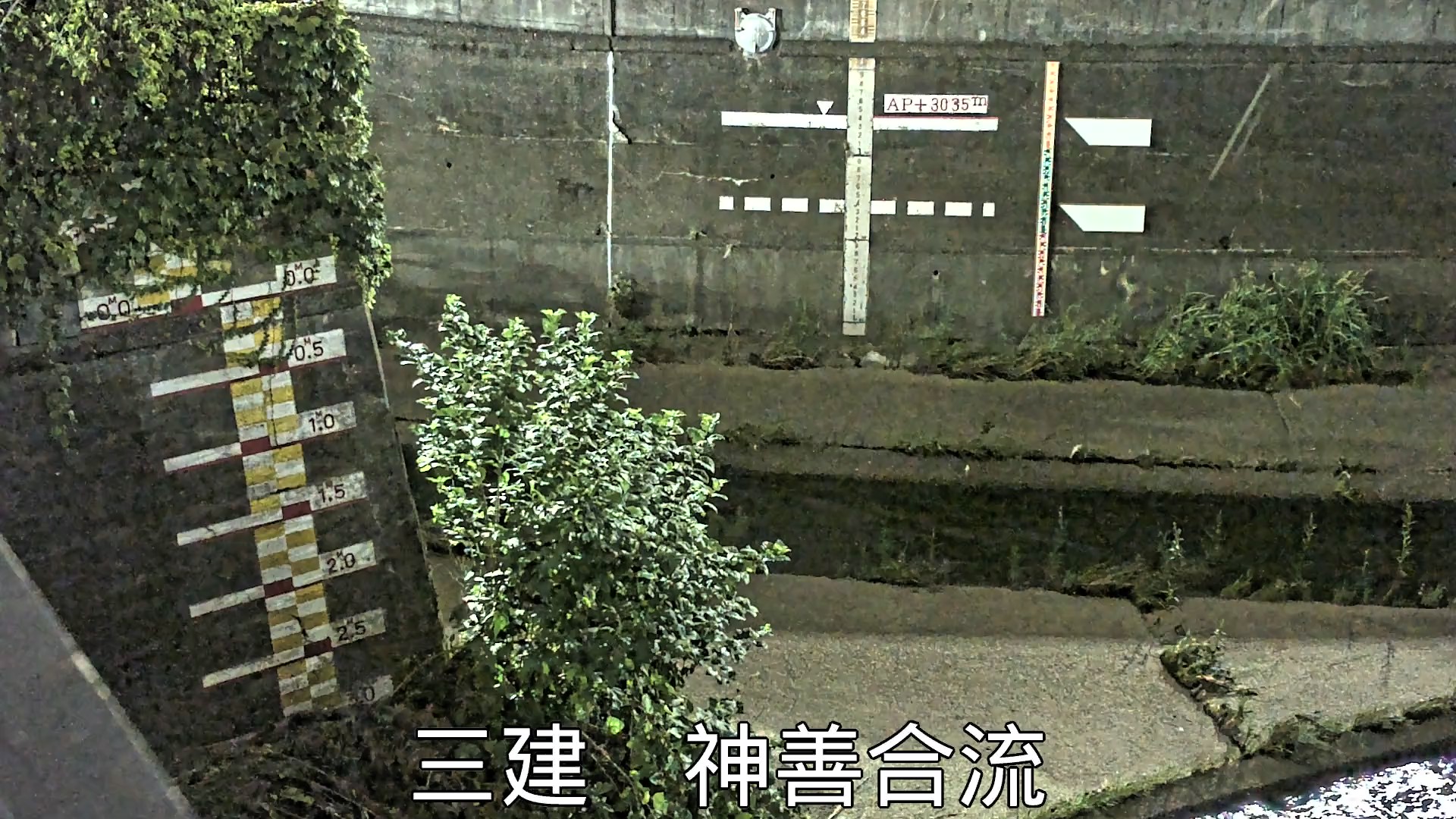 静止画