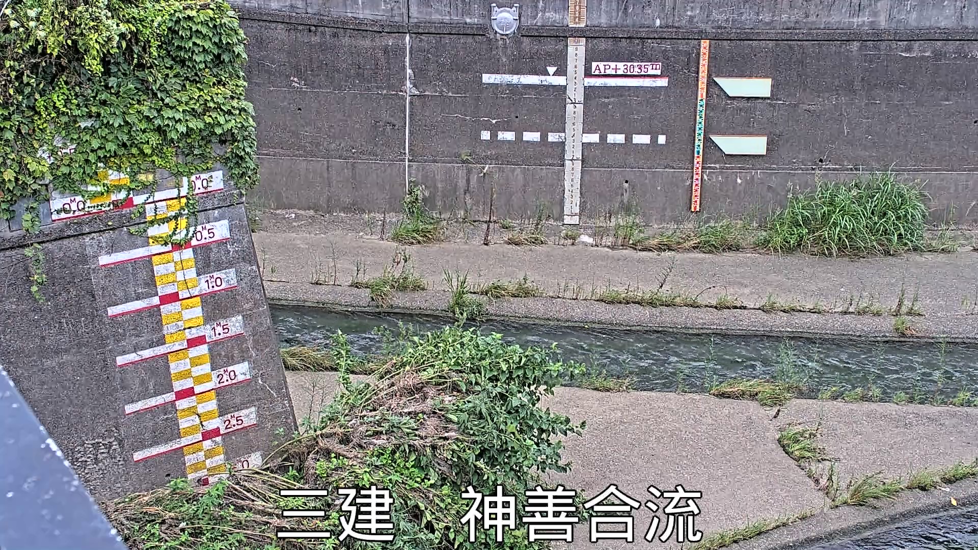 静止画