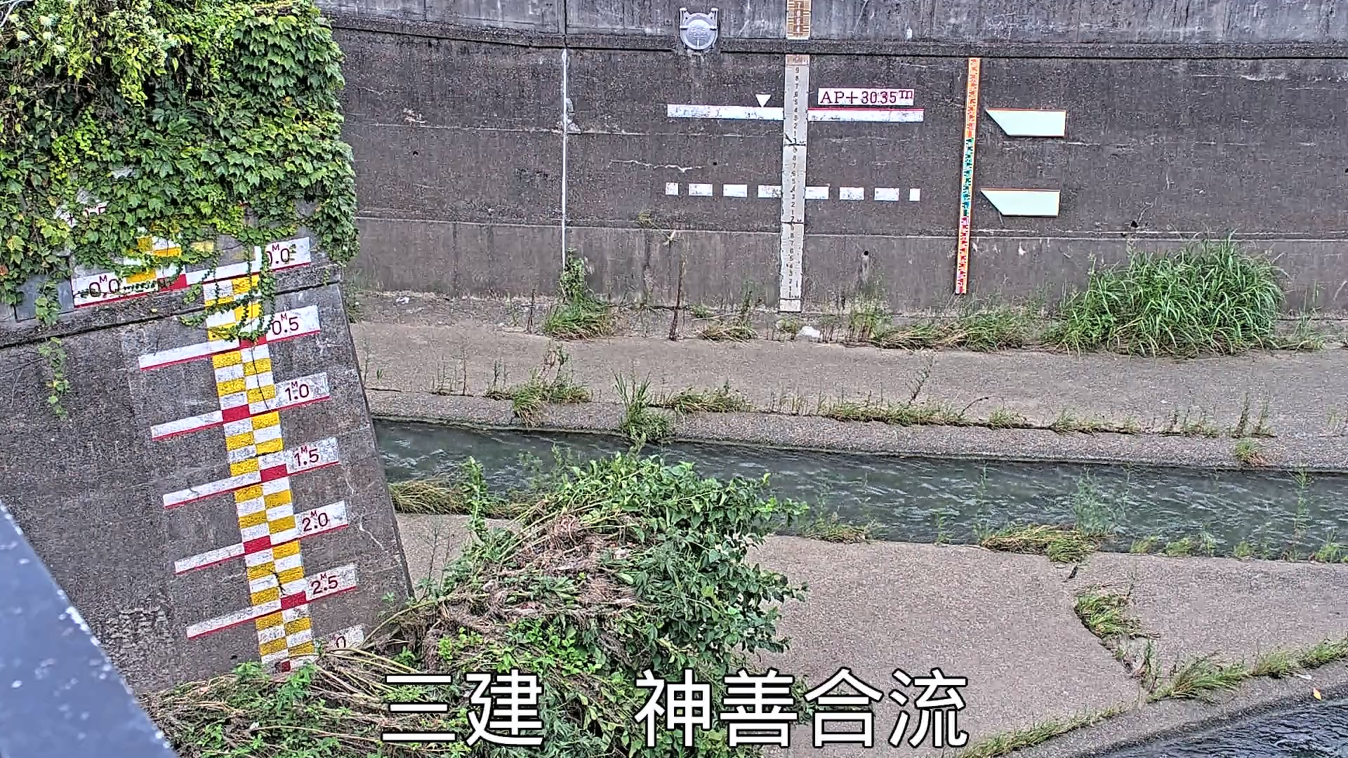 静止画