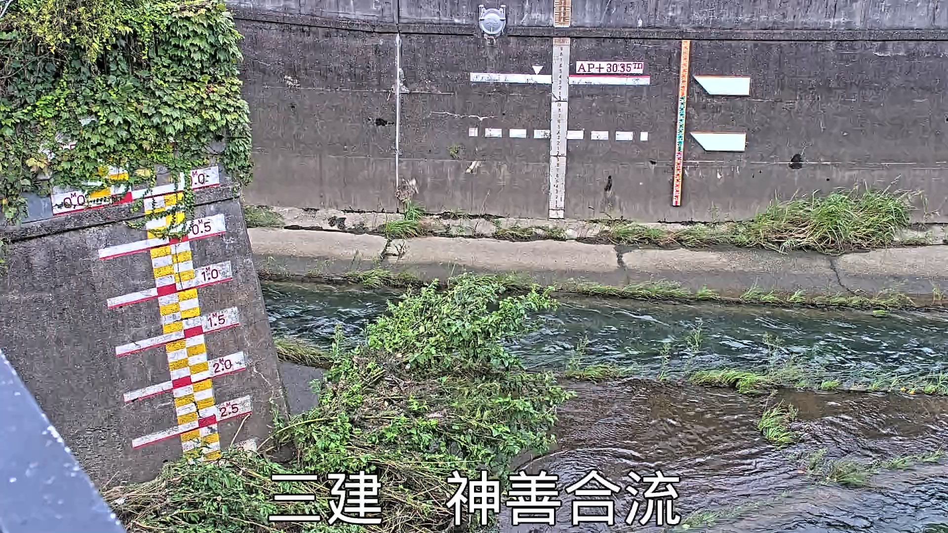 静止画
