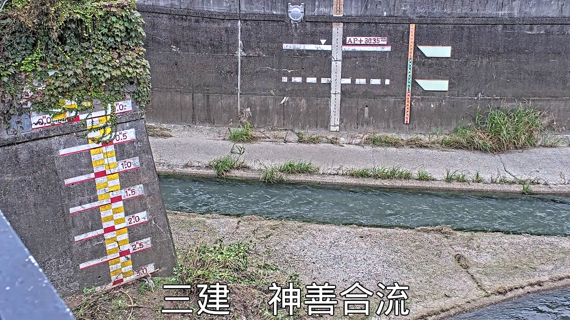 静止画
