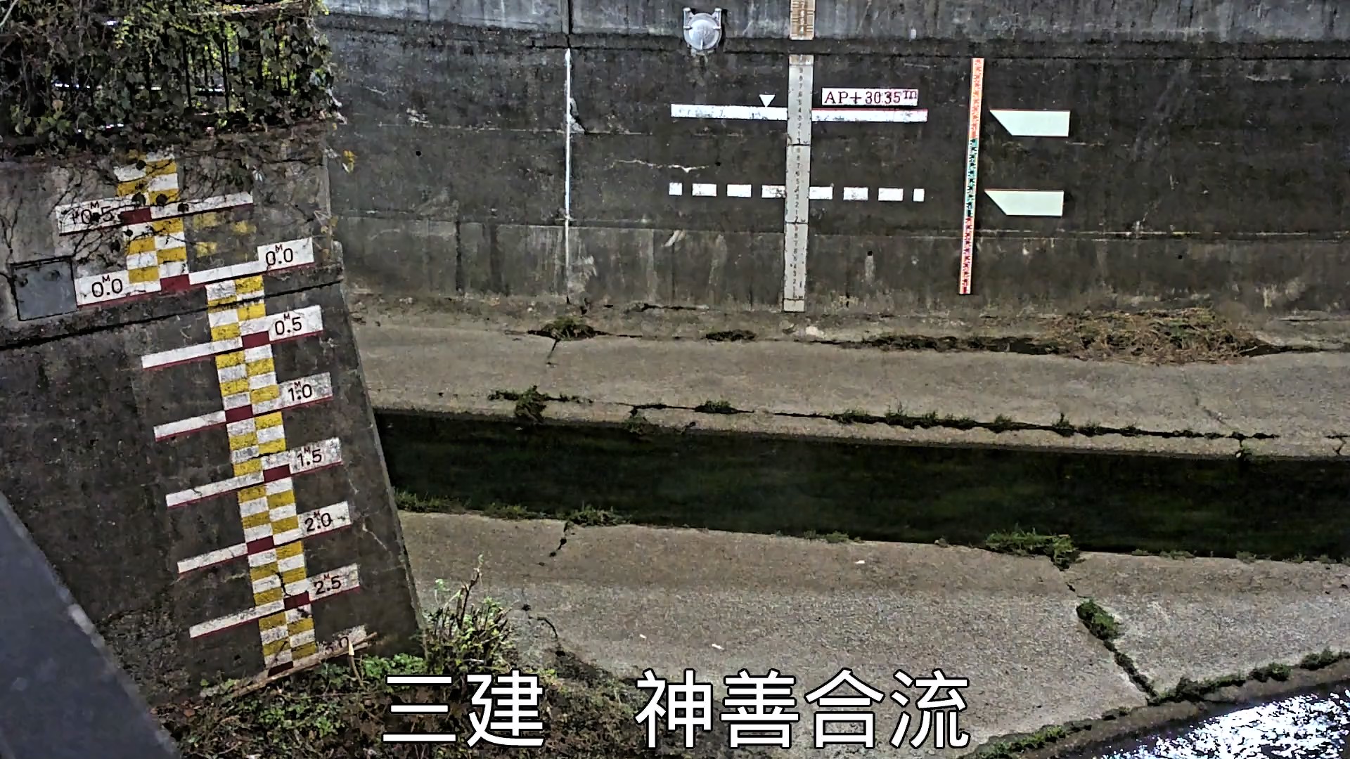 静止画