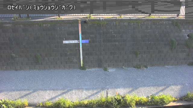 静止画