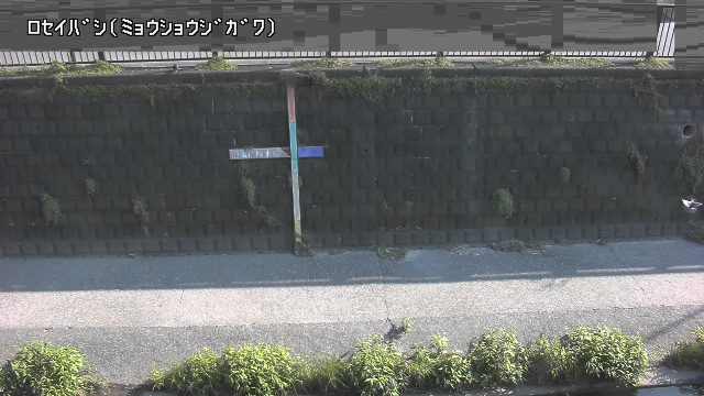 静止画