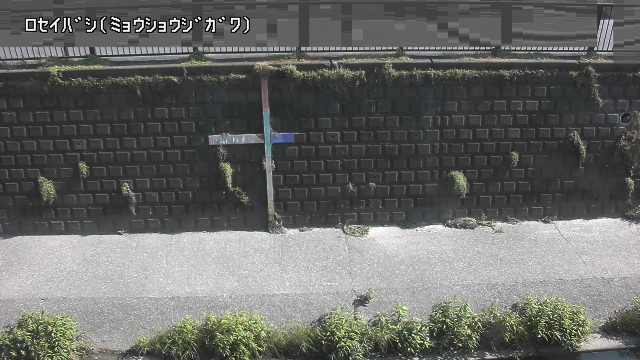 静止画