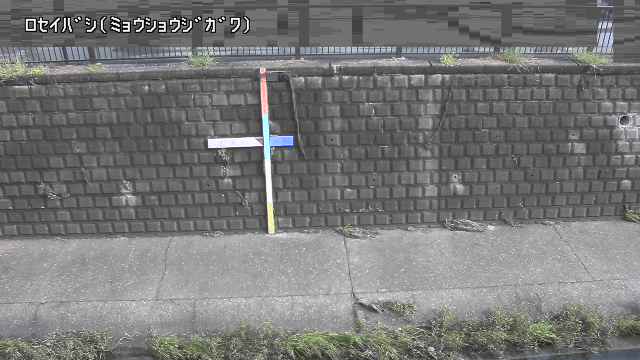 静止画