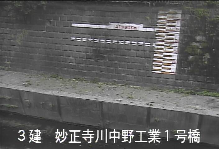 静止画
