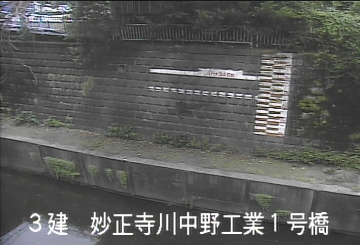 静止画