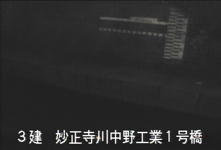 静止画
