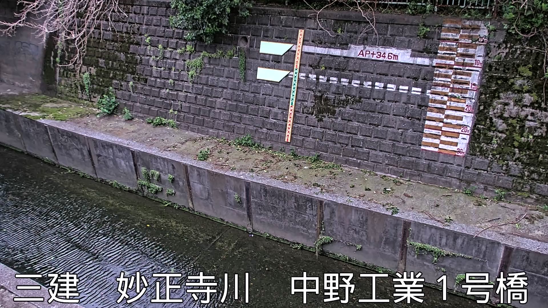 静止画