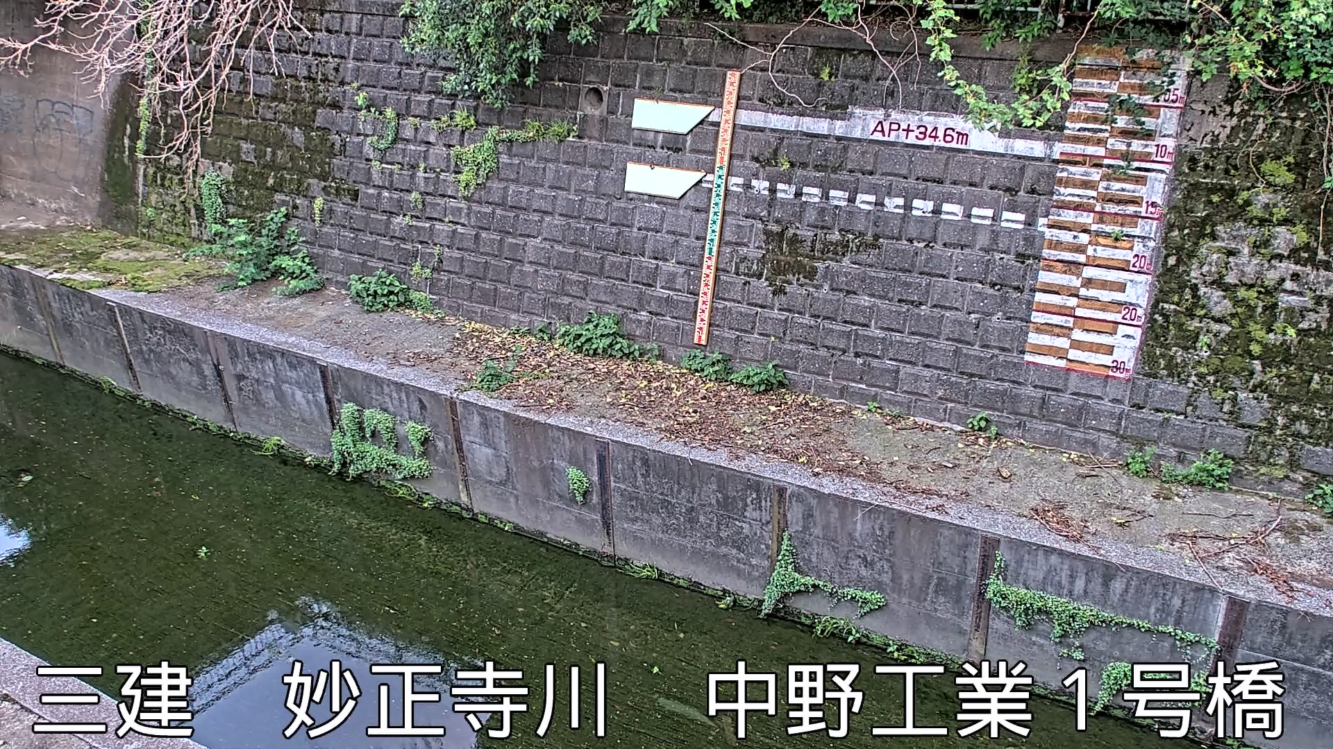 静止画
