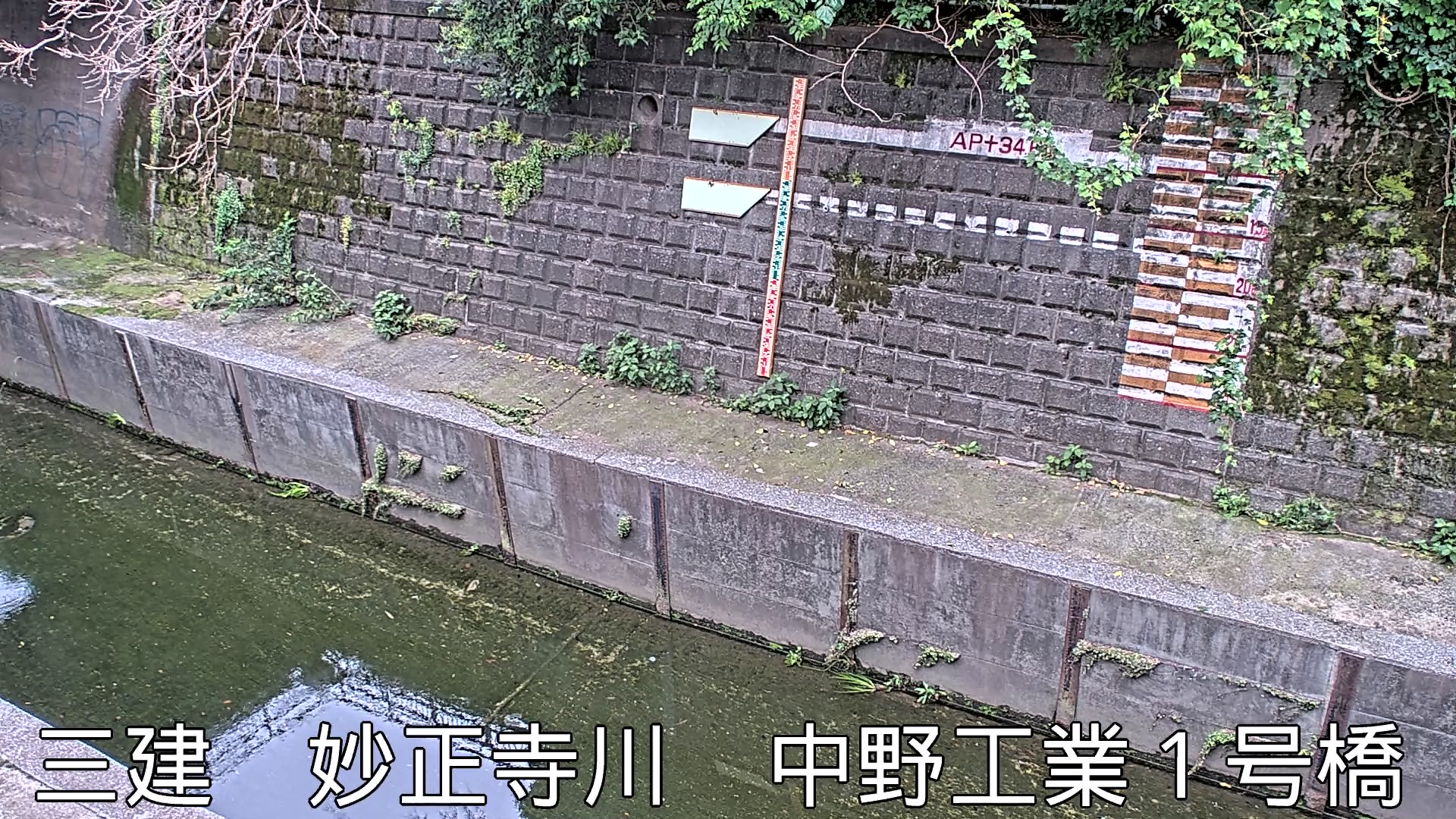 静止画