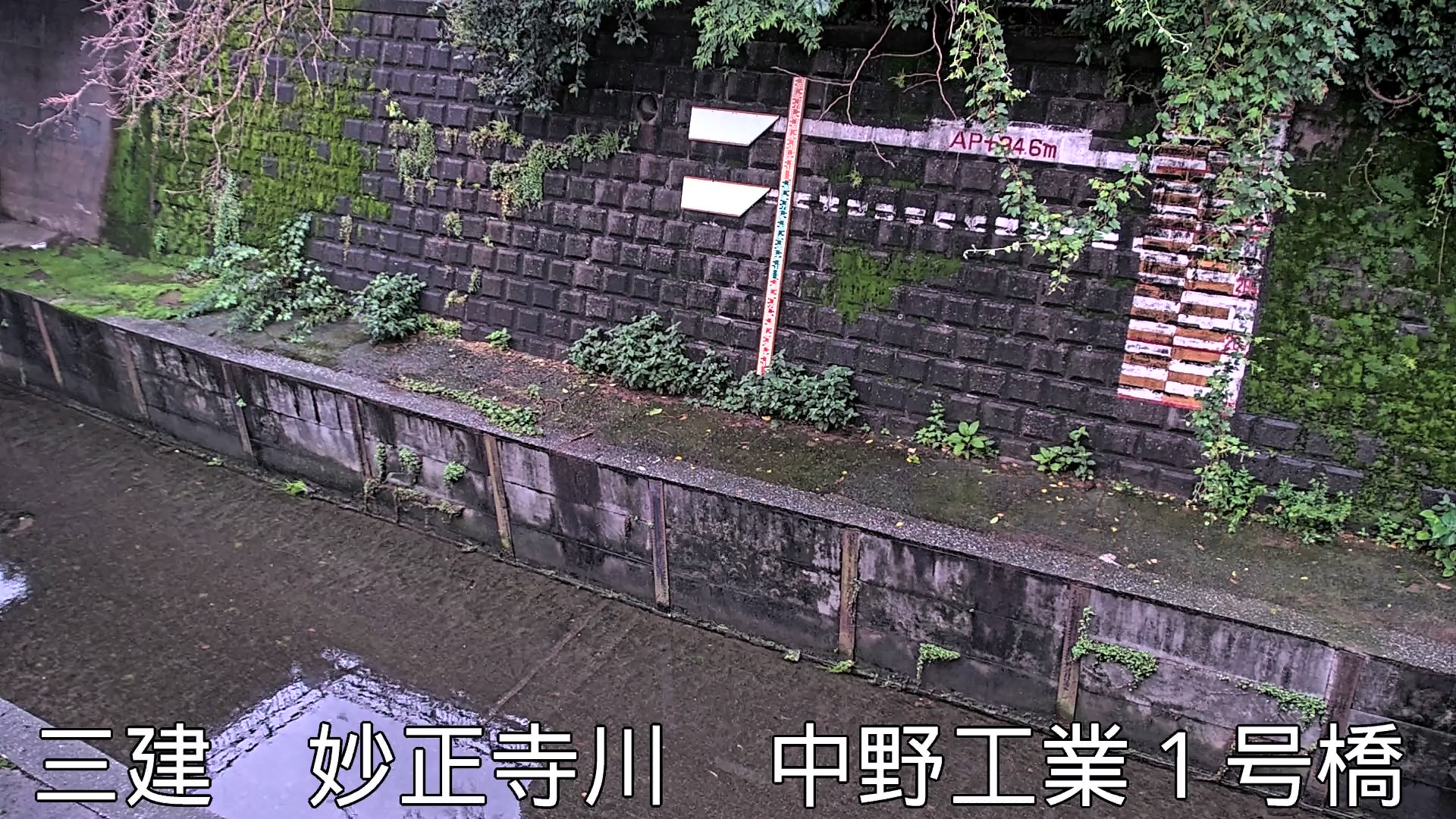 静止画