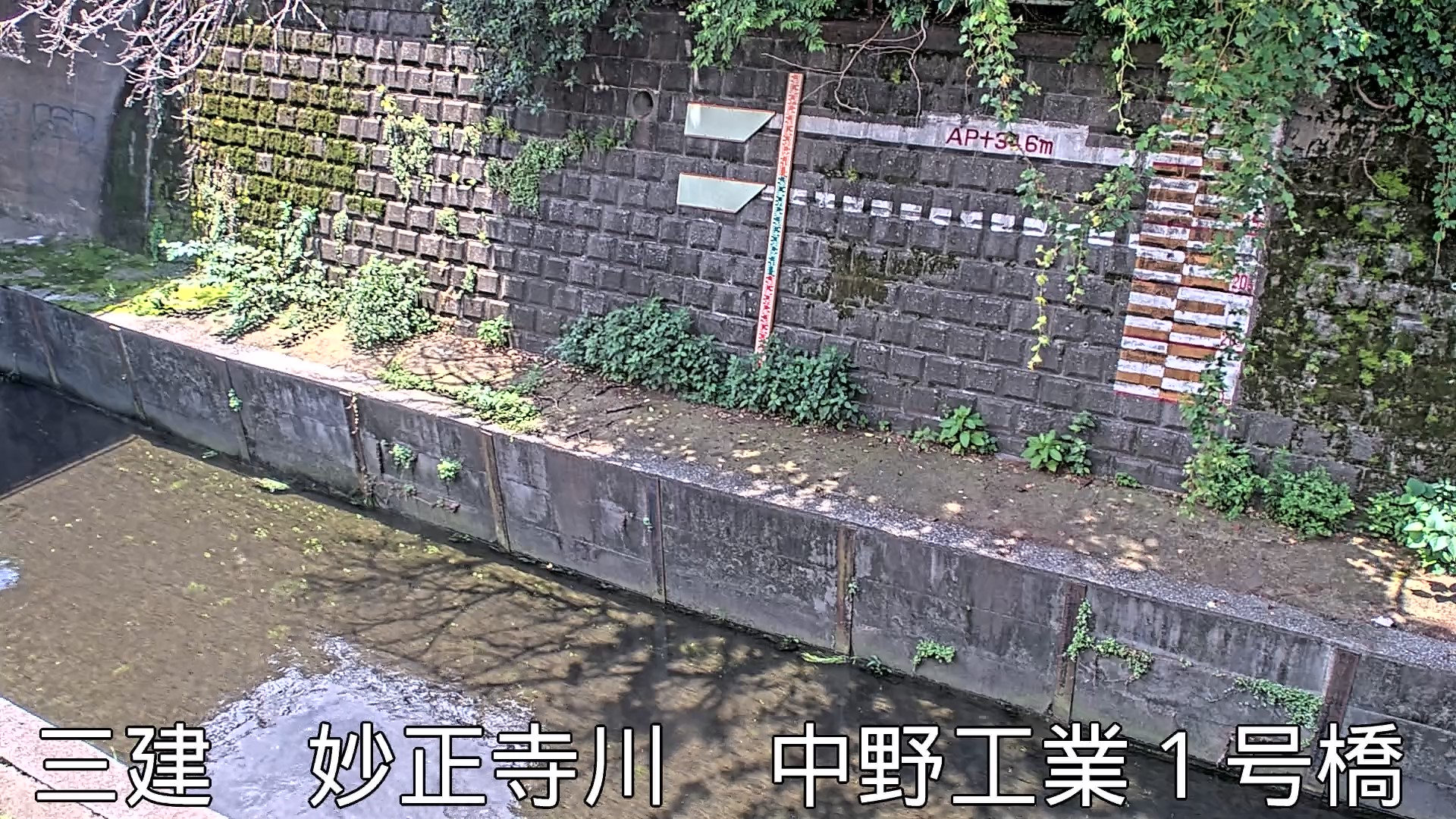 静止画