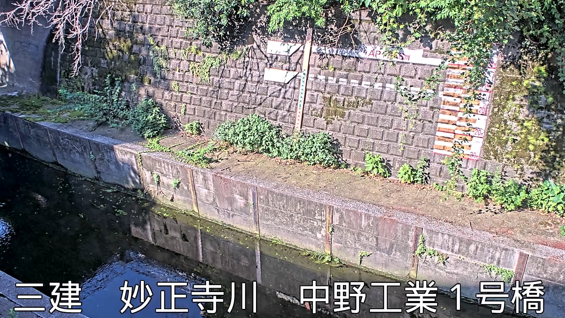 静止画