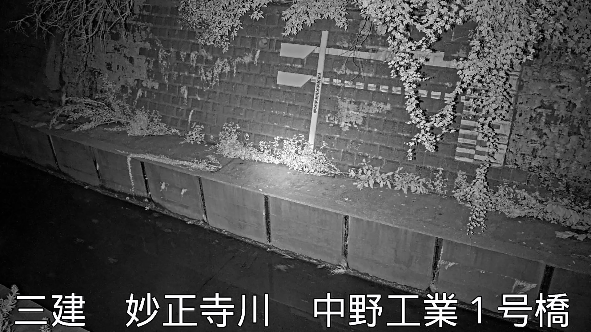 静止画