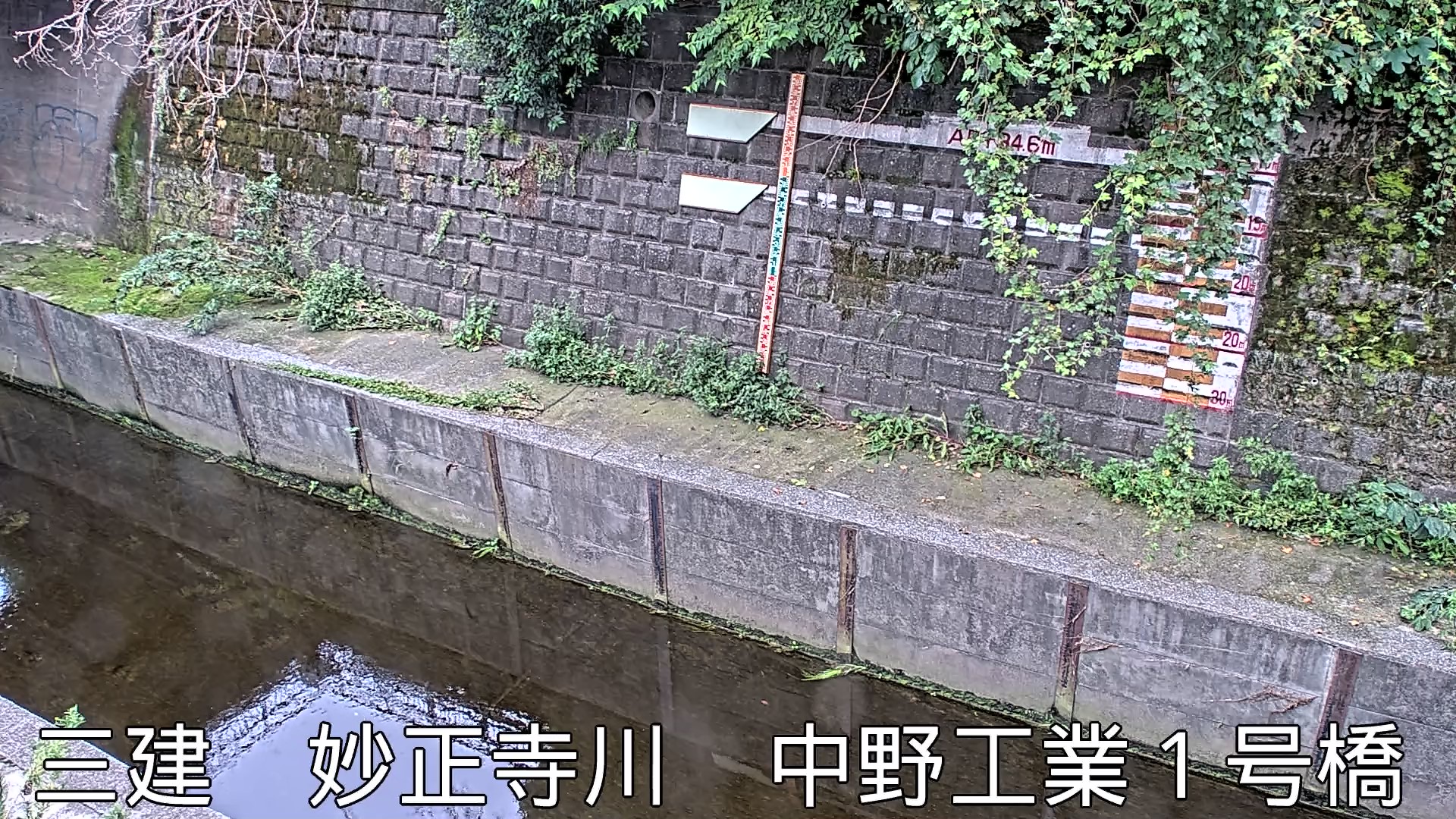 静止画
