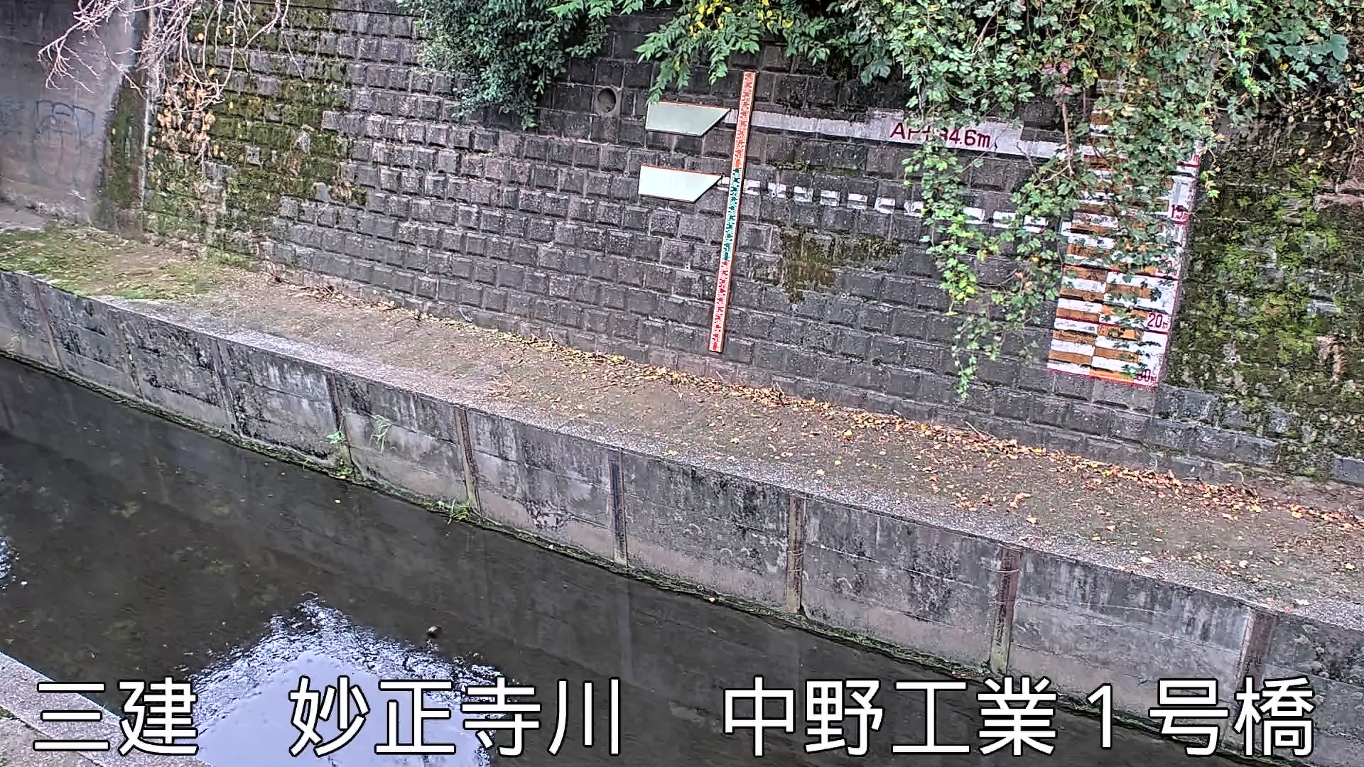 静止画