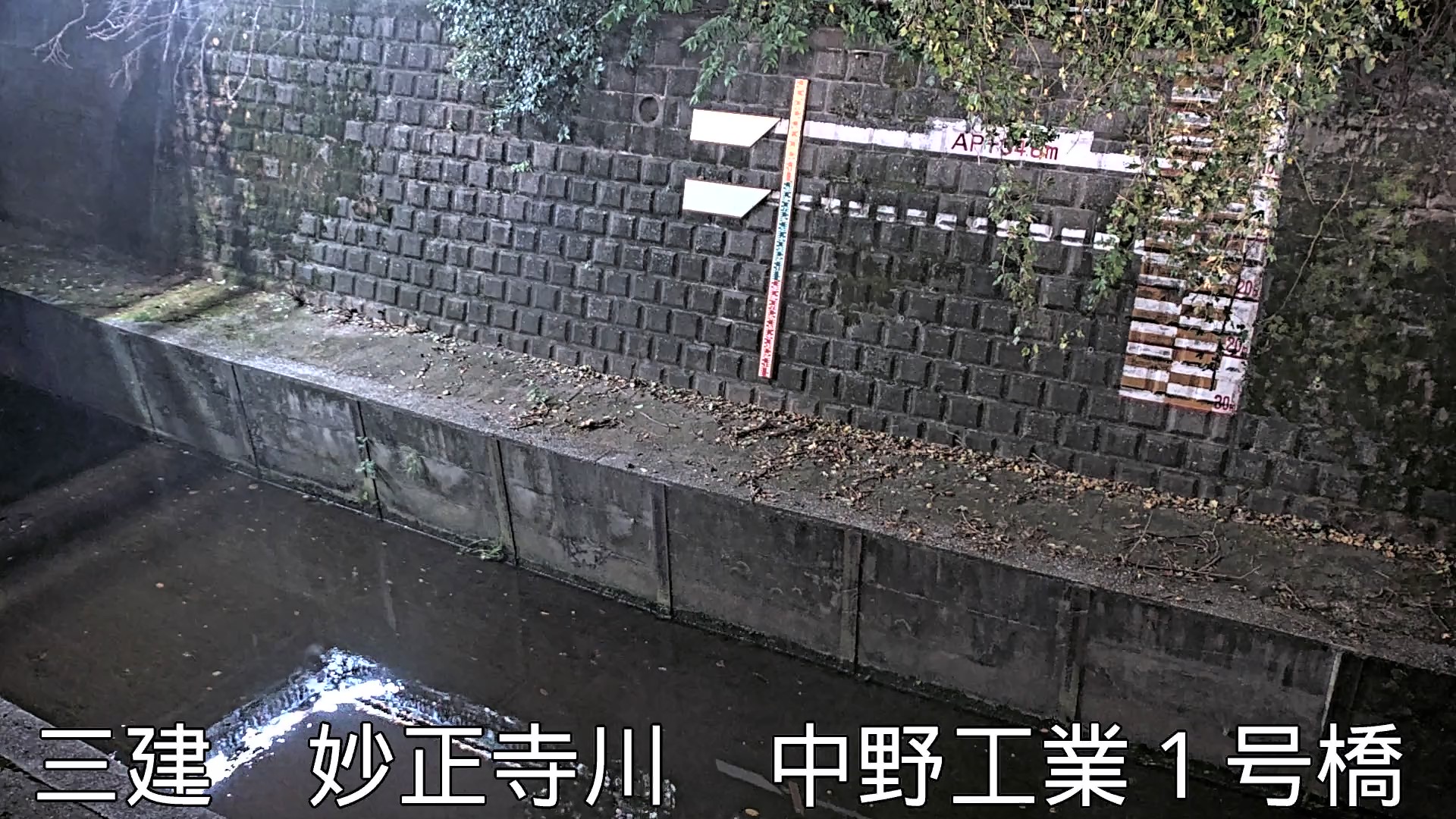 静止画