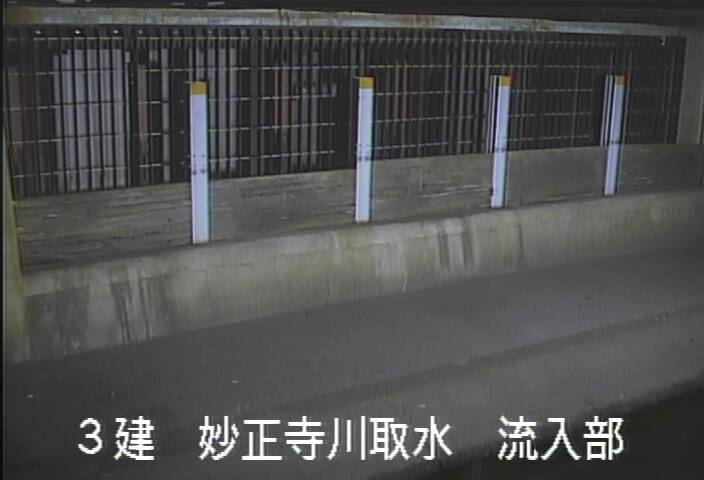静止画