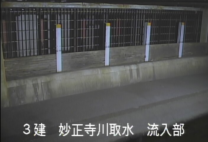 静止画