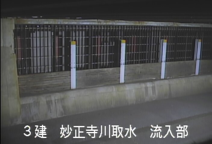 静止画