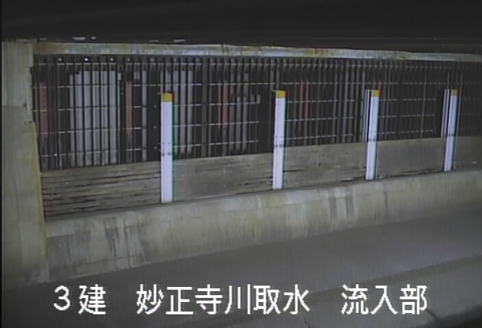 静止画