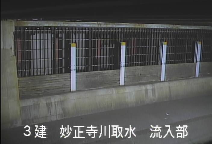 静止画