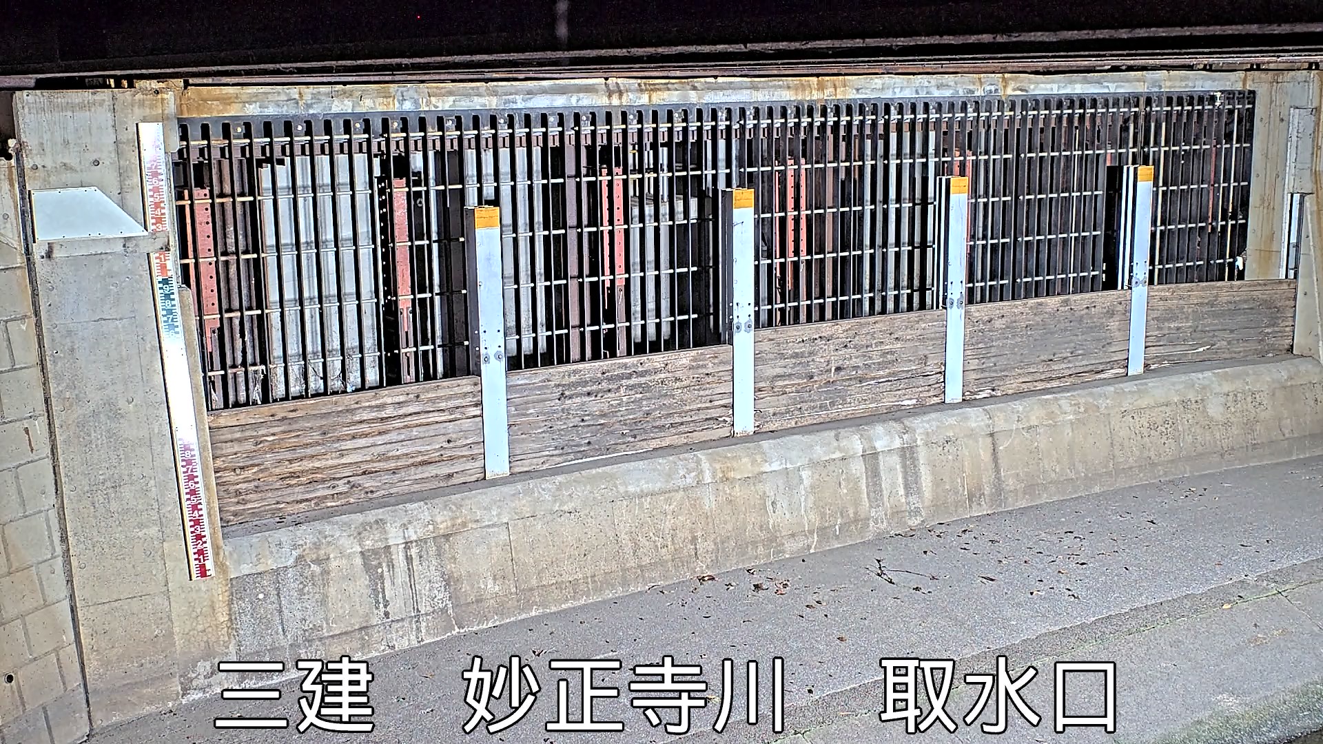 静止画