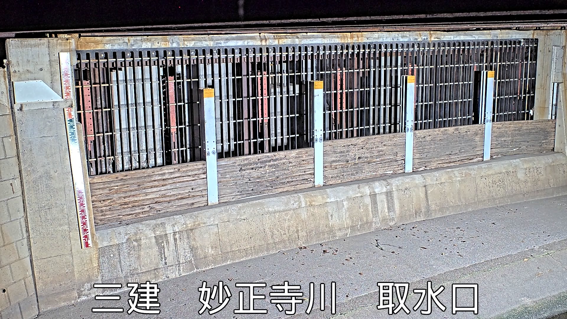 静止画