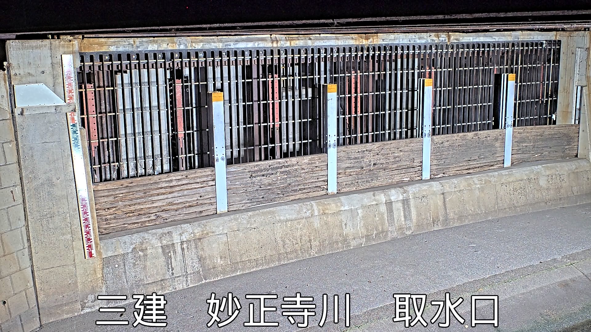 静止画