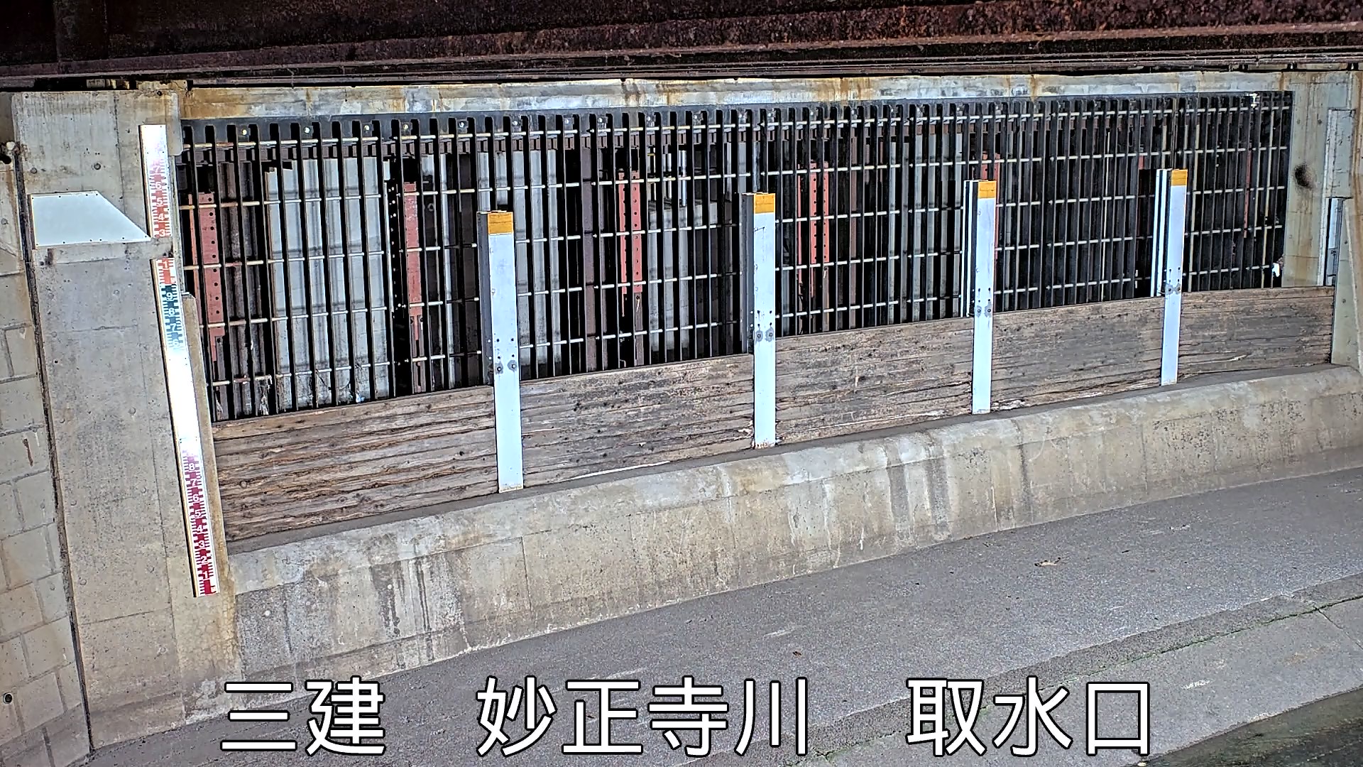 静止画