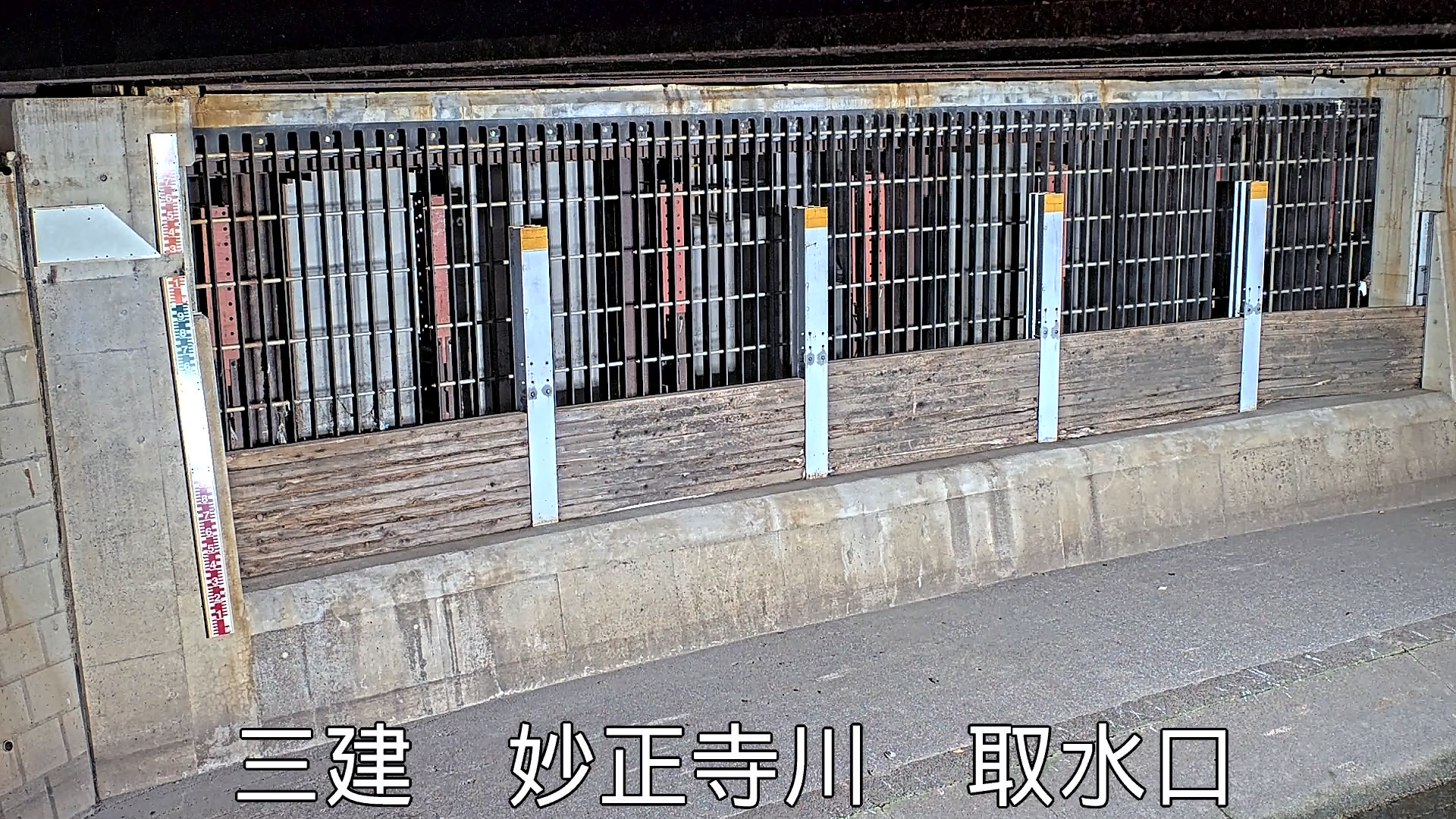 静止画