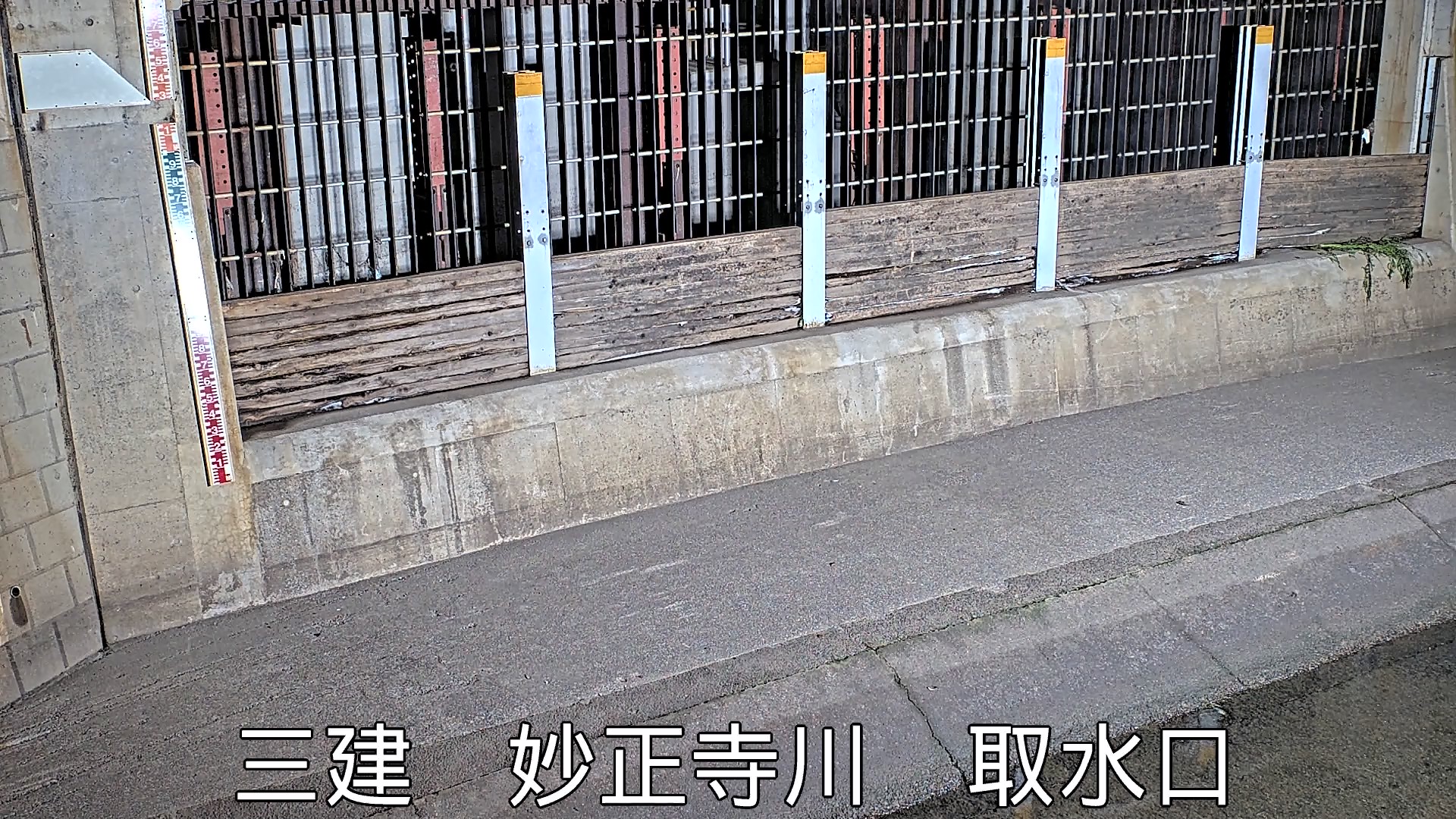 静止画