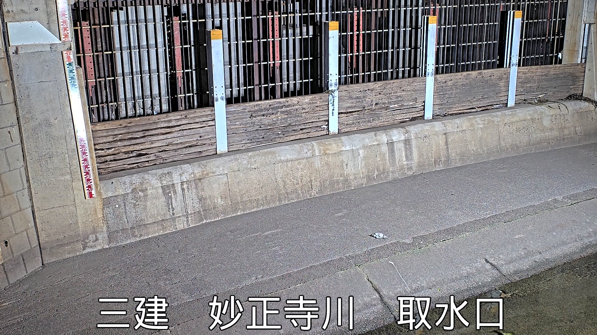 静止画