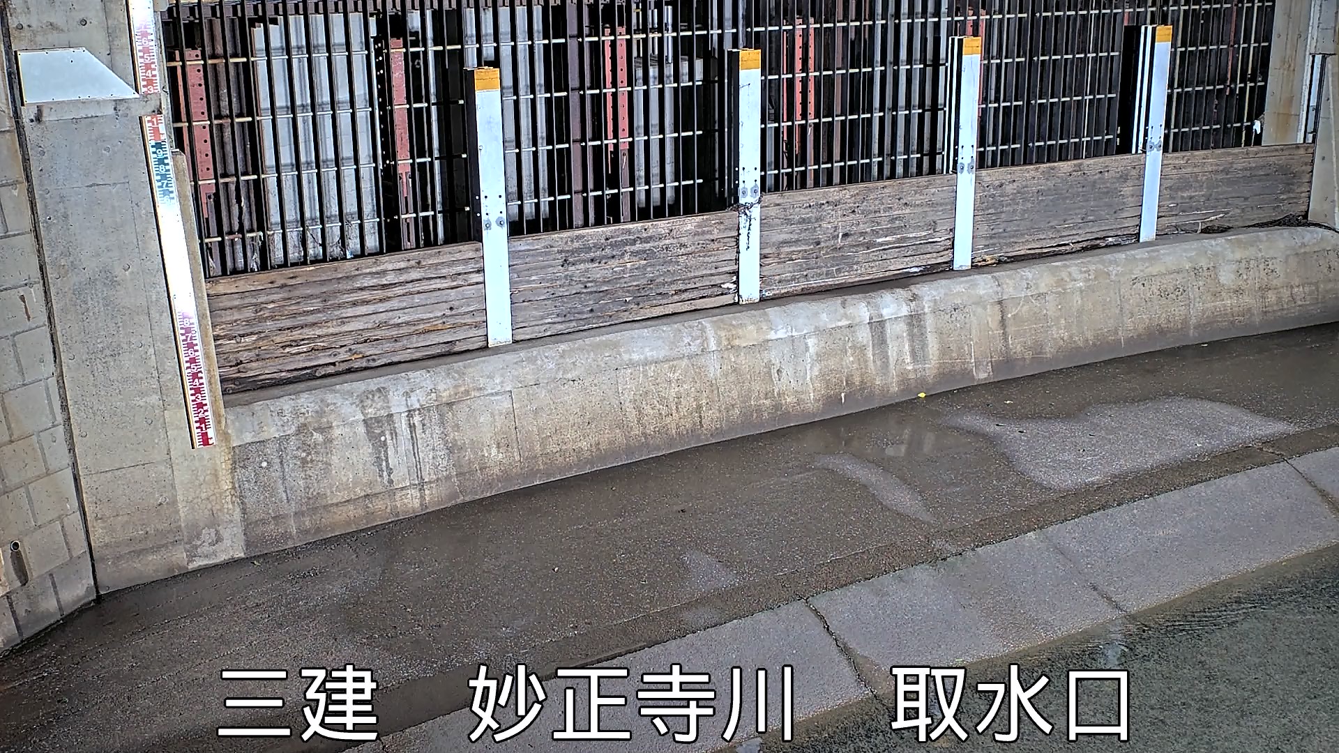 静止画