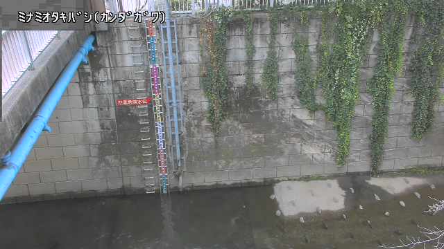 静止画