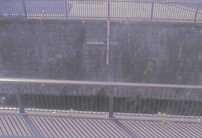 静止画