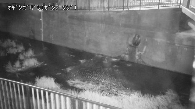 静止画
