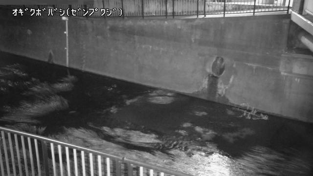 静止画
