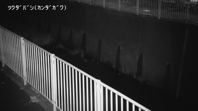 静止画
