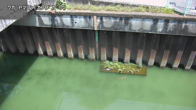 静止画