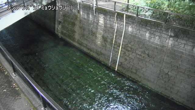 静止画
