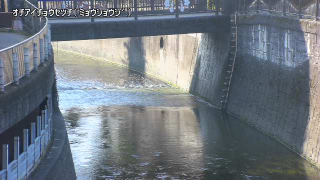 静止画